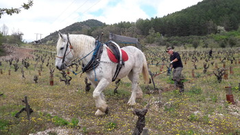 photo-5-0fb33e5a35d943108e9085106155513d ©Domaine de Gravezon