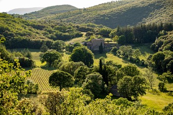 Vue du domaine Pouzes et massif du Caroux ©DE CLOCK Sophie 