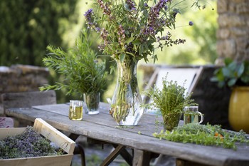 A l'ombre terrasse nord Hameau de Pouzes ©de Clock Sophie