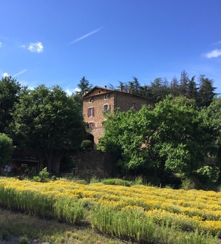 Maison d'hôtes et champ d'immortelle ©Domaine de Pouzes